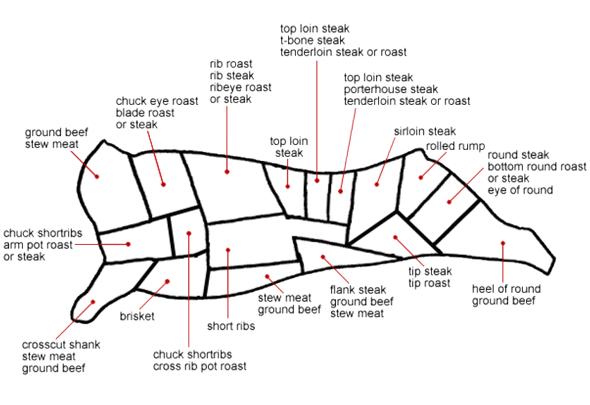 the-striped-cow-descriptions-2-4